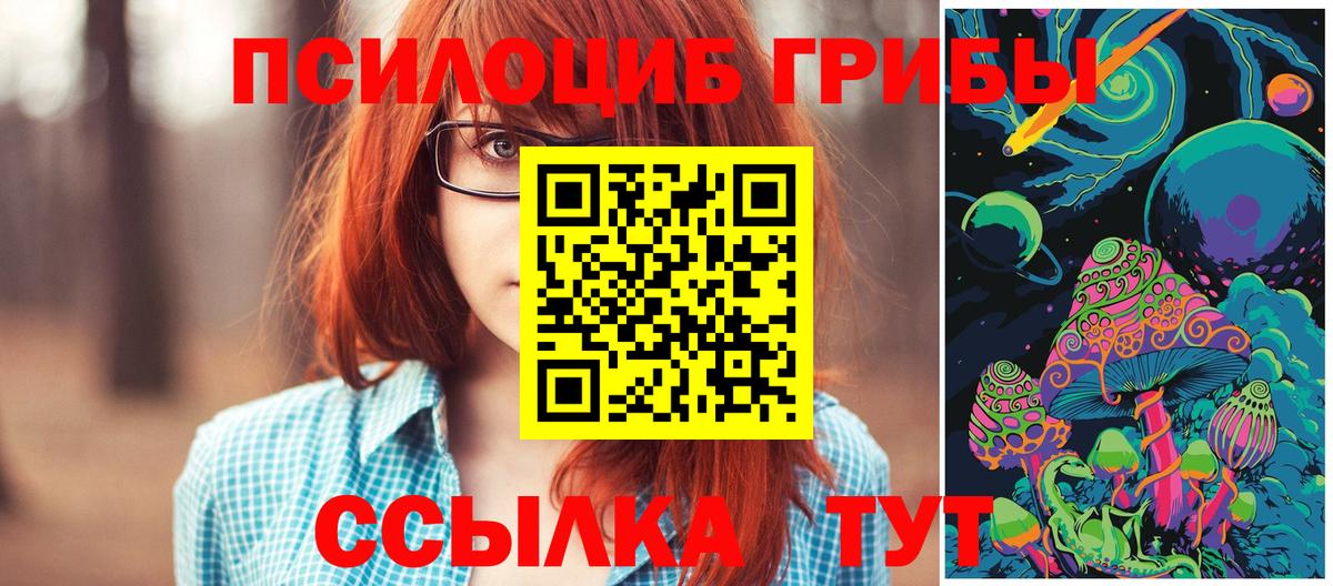 Псилоцибиновые грибы прущие грибы Новокуйбышевск