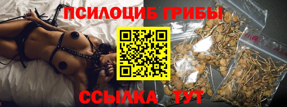Псилоцибиновые грибы прущие грибы  Вход с VPN  магазин    Новокуйбышевск 